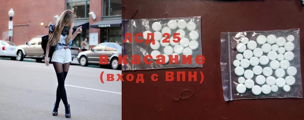 шишки Алексин