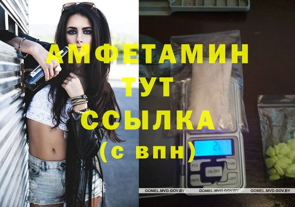 шишки Алексин