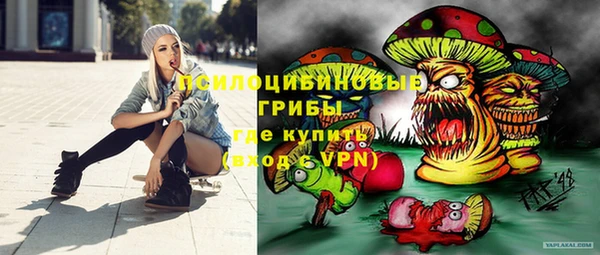 МДПВ Алзамай