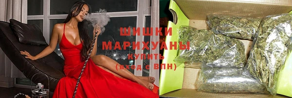 шишки Алексин