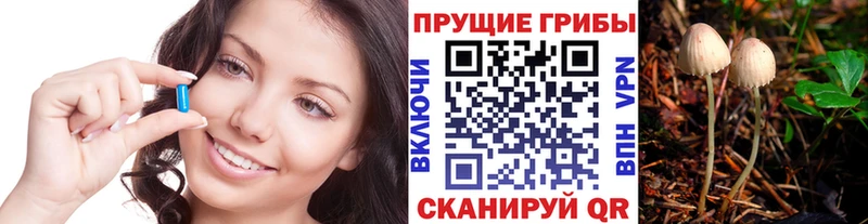 Псилоцибиновые грибы ЛСД  blacksprut маркетплейс  Вологда  купить закладку 